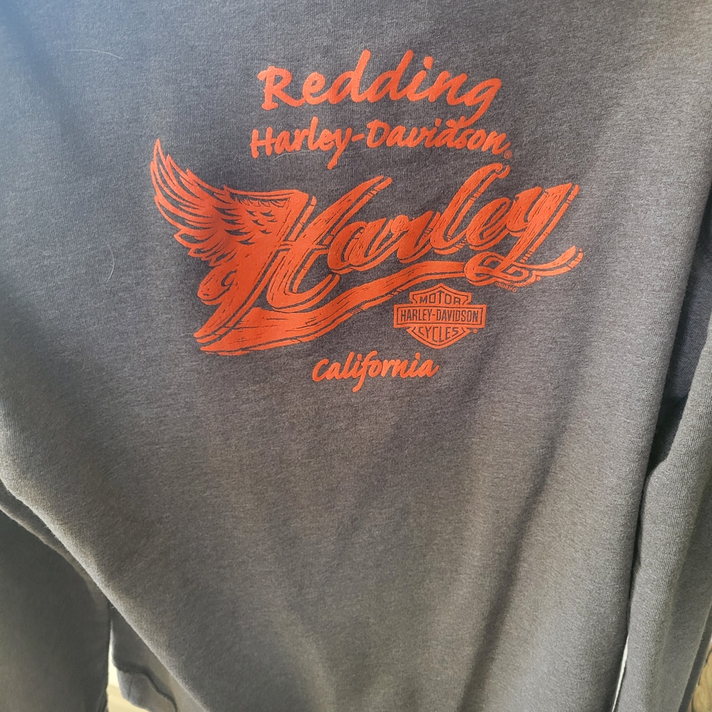 Harley-Davidson Gray Graphic Pullover Hoodie - Picture 5 of 5